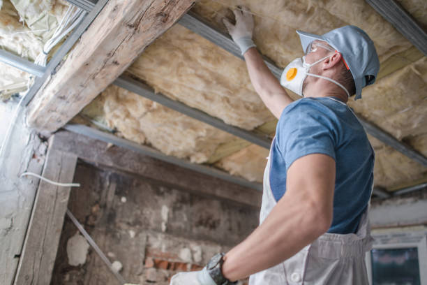 Insulation Replacement Services in Harrington, DE